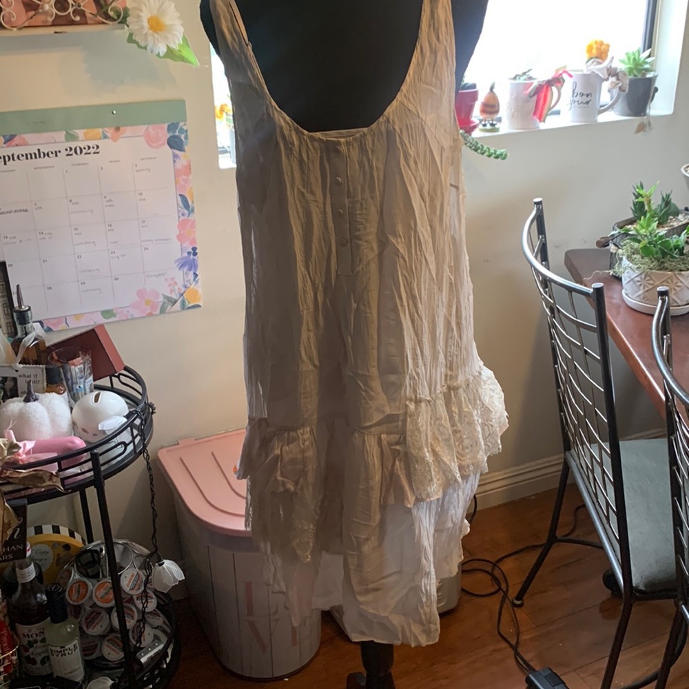 Hinge Dress or Slip